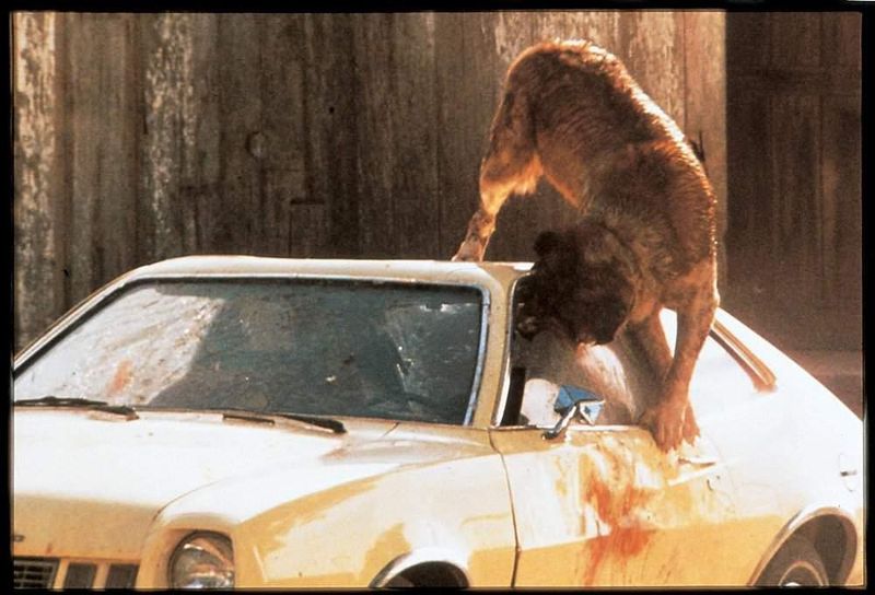 Cujo (1983)