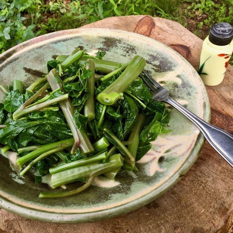 Poke Salad: A Foraging Tradition With Risks