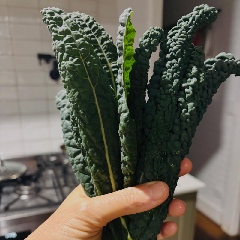 Leafy Kale
