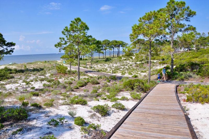 Dauphin Island, Alabama: A Front-Row Seat for Migrating Birds