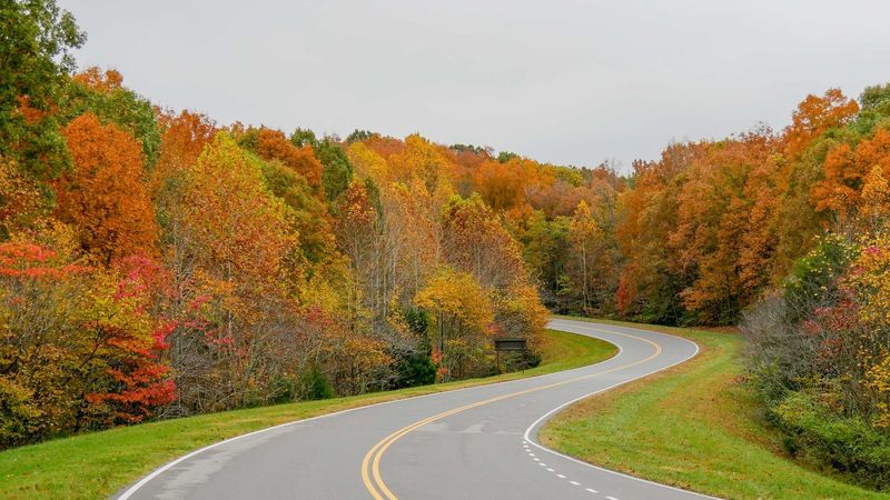 Natchez Trace Parkway: The Road Trip Without the Hurry