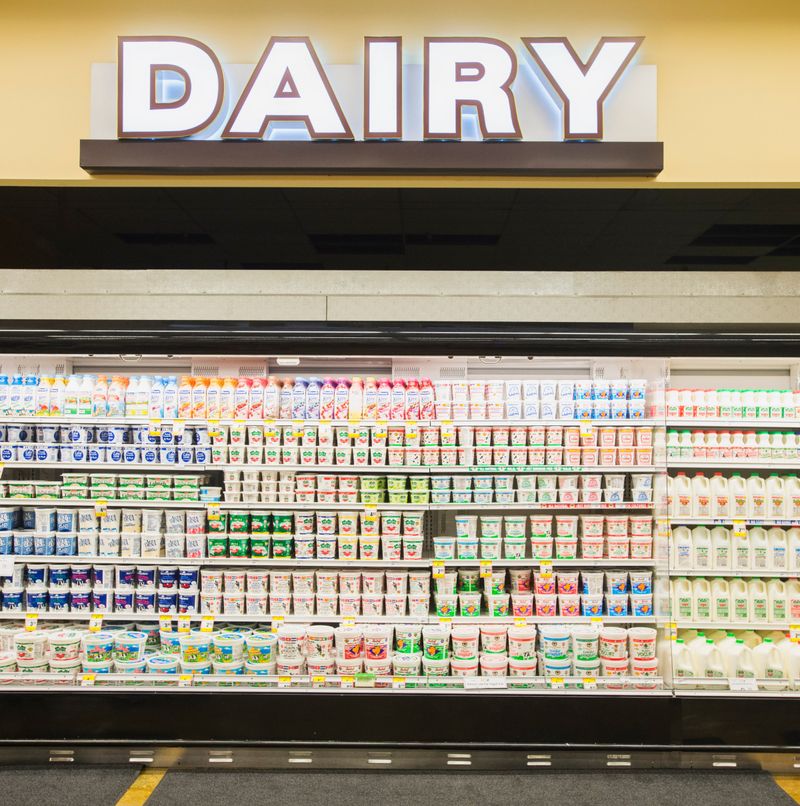 Yogurt and Dairy Fridge