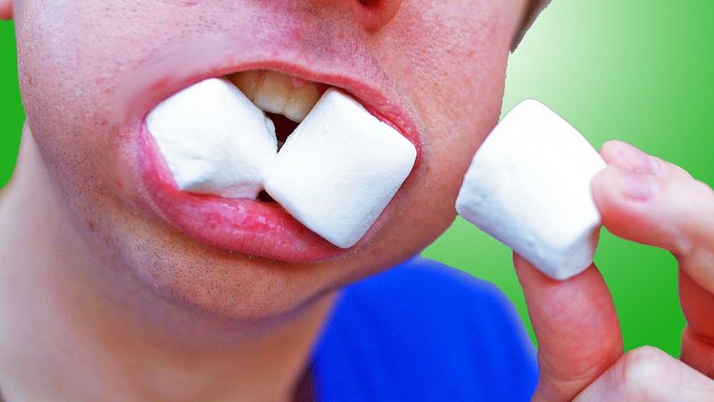 Chubby Bunny Marshmallows