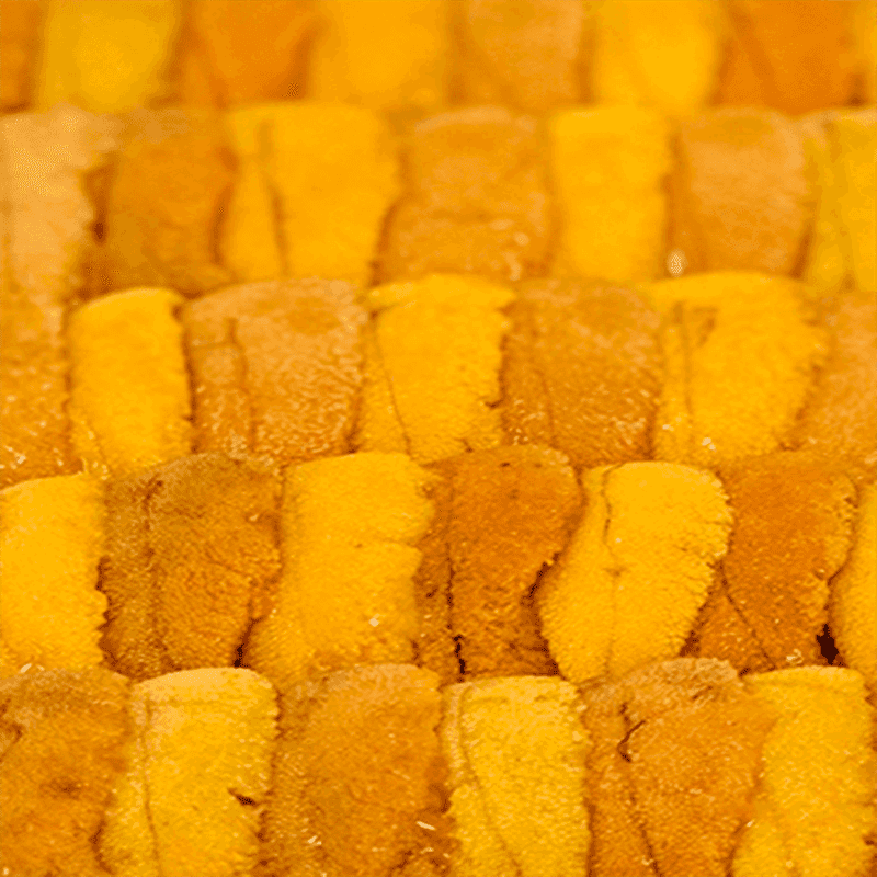 Bluefin Toro Uni Combo? No, Sea Urchin (Uni)