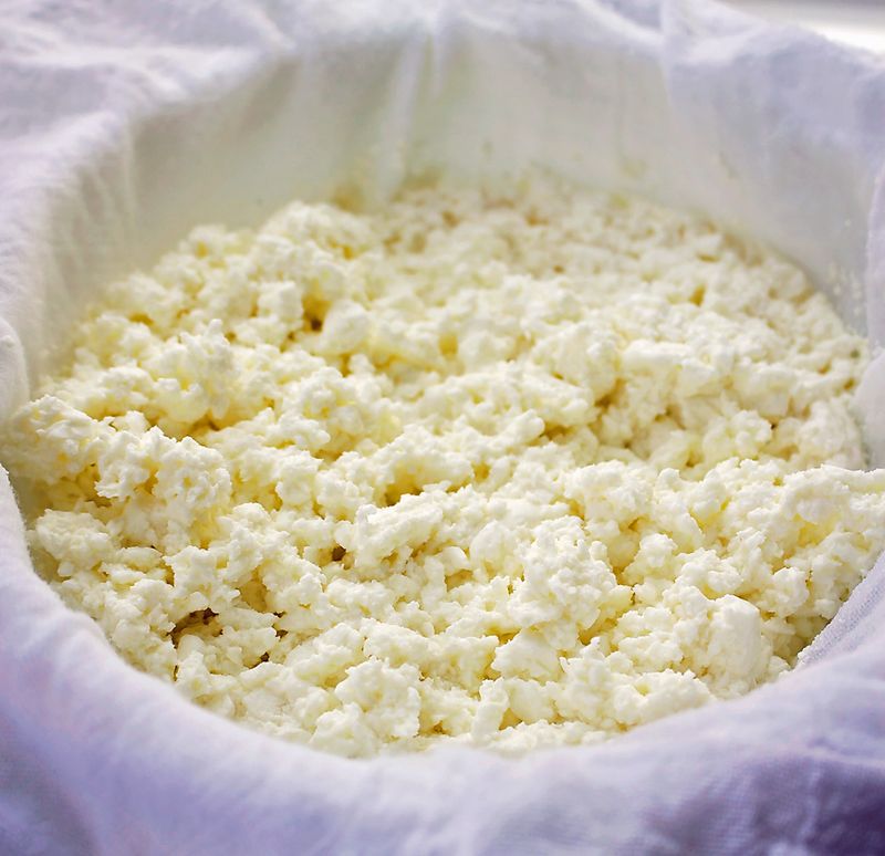 Making Cheese and Yogurt