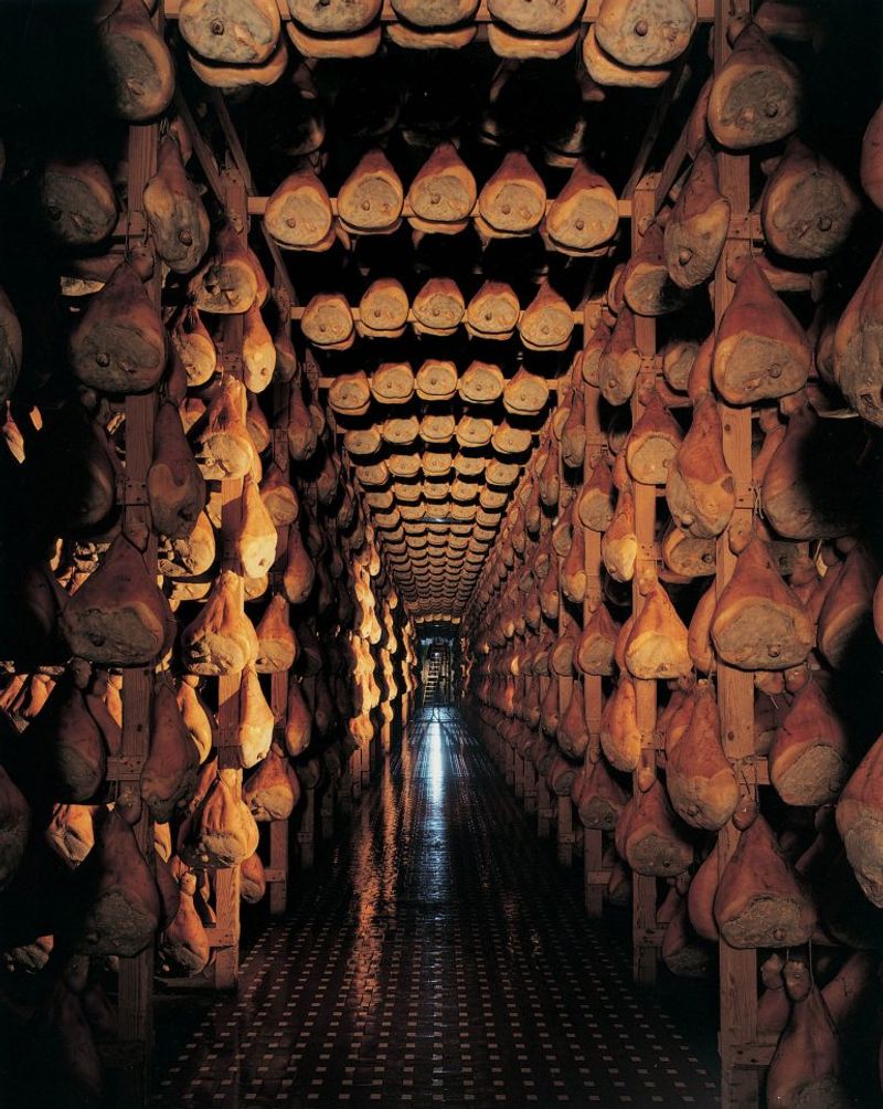 Salt Curing