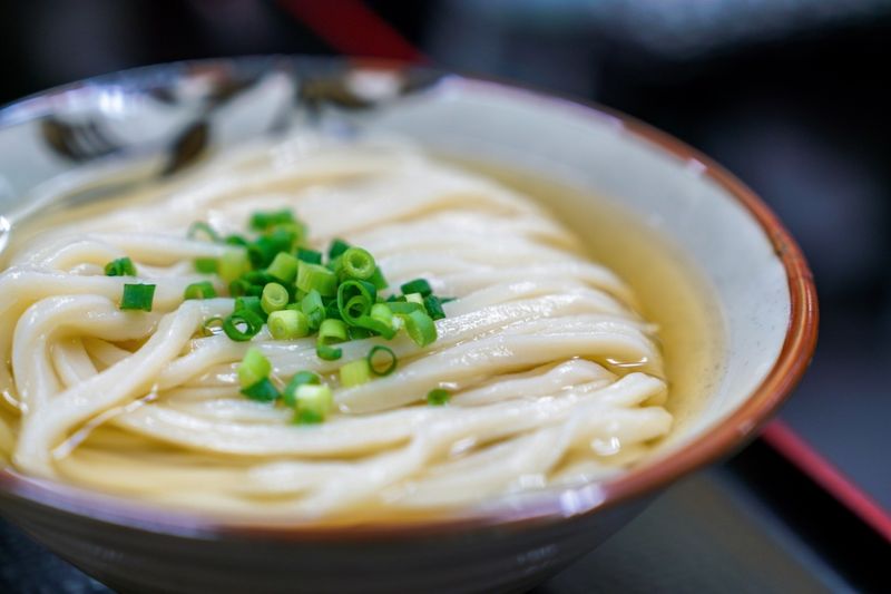Comforting Bowls of Udon