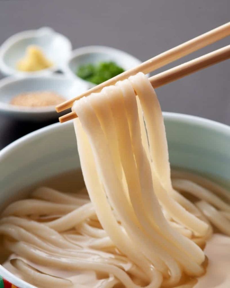 Udon Noodles