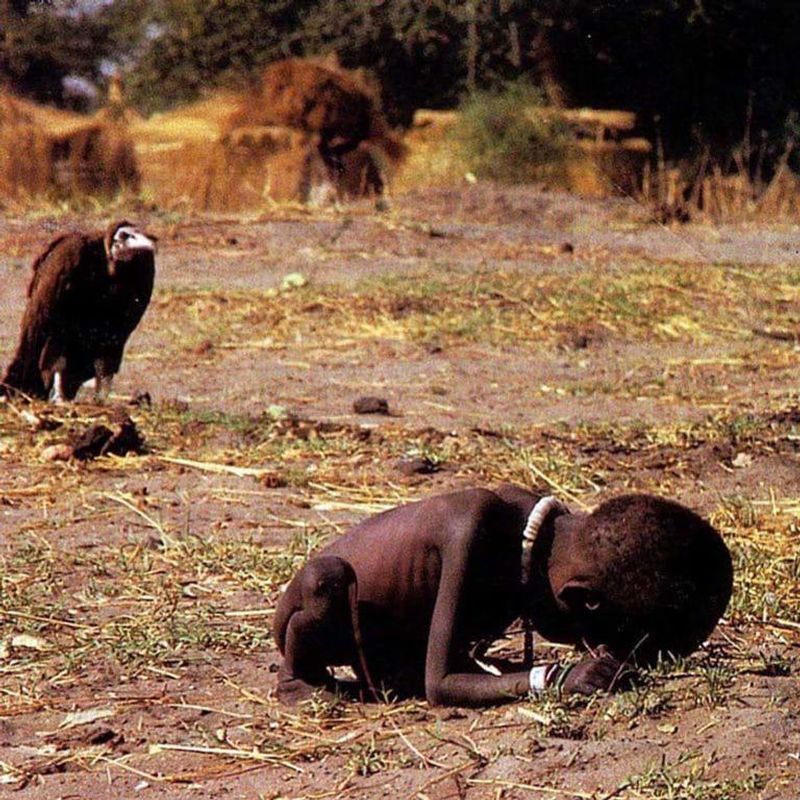 A Child and a Vulture: The Weight of Witnessing