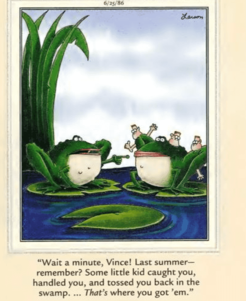 Frog Philosopher
