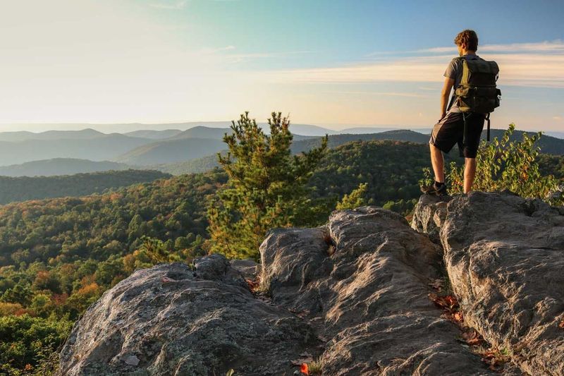 Shenandoah Wilderness, Virginia: Quiet Earned One Step at a Time