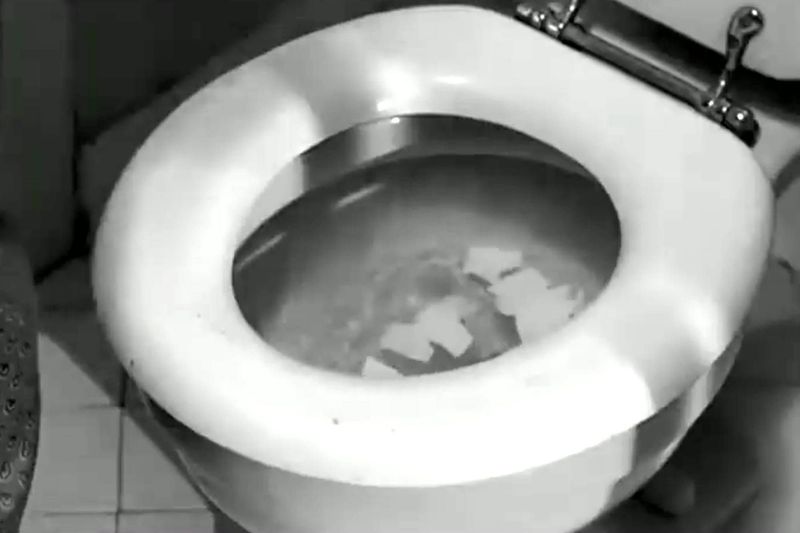 Psycho's Unexpected Bathroom Sound