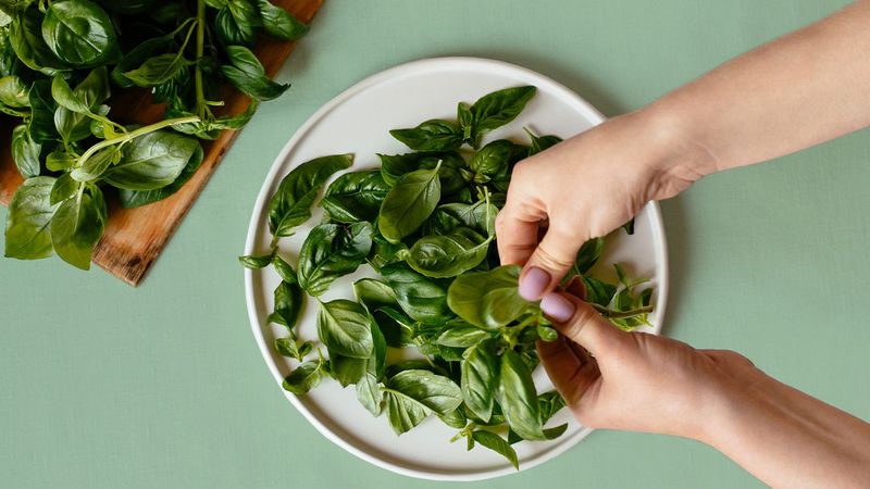 Pile On Fresh Herbs
