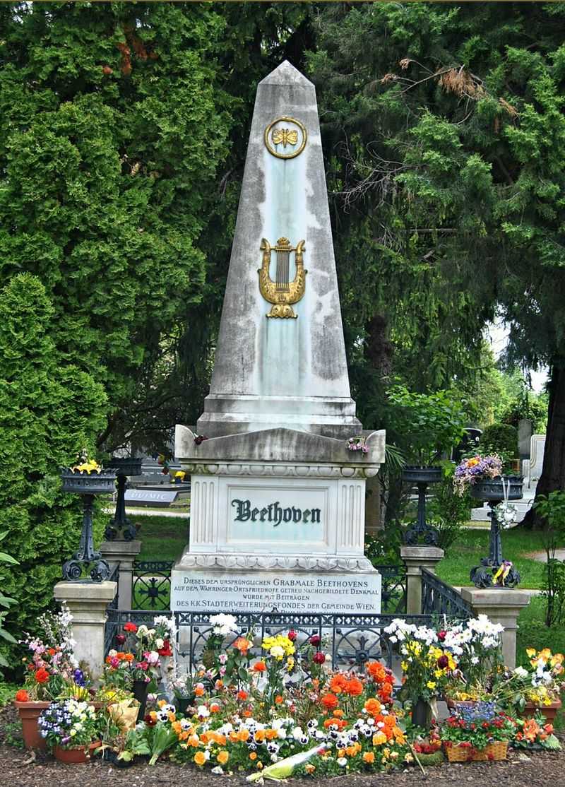 Beethoven Among Vienna's Composers