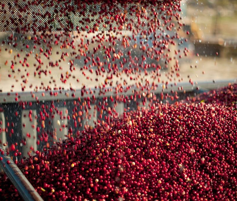 Tart Cranberries