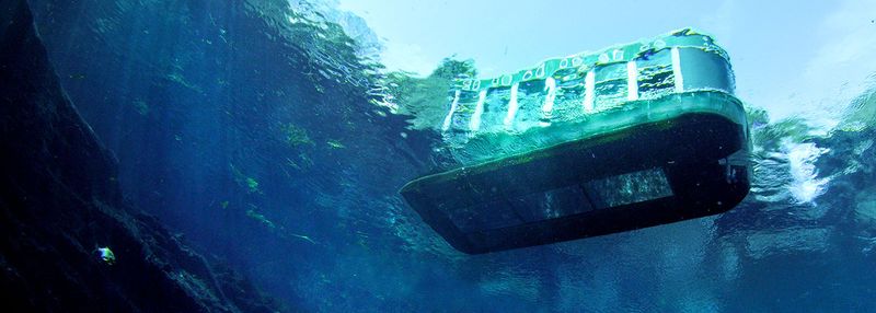 Silver Springs: See the World Below