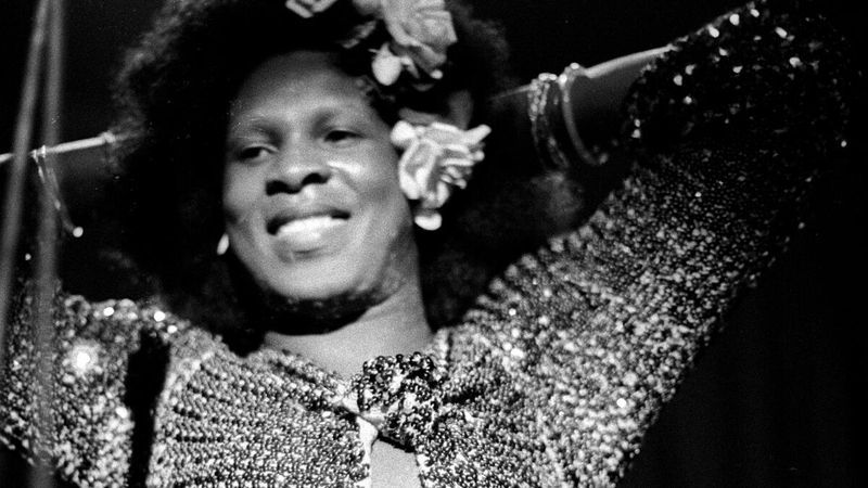 Sylvester: Disco With Wings