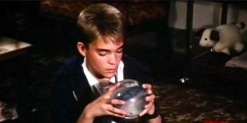 St. Elsewhere: A Hospital Inside a Snow Globe